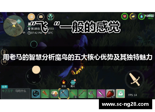 用老马的智慧分析魔鸟的五大核心优势及其独特魅力