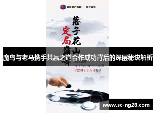 魔鸟与老马携手共赢之道合作成功背后的深层秘诀解析