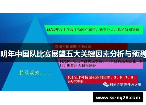 明年中国队比赛展望五大关键因素分析与预测