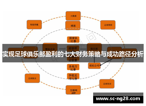 实现足球俱乐部盈利的七大财务策略与成功路径分析