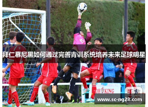 拜仁慕尼黑如何通过完善青训系统培养未来足球明星