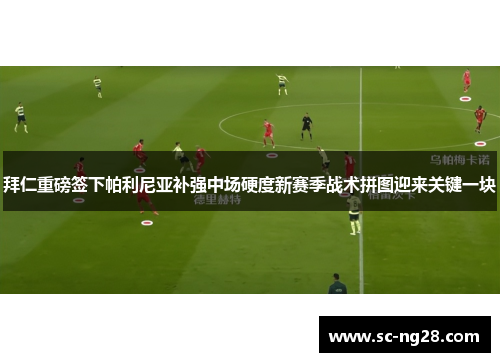 拜仁重磅签下帕利尼亚补强中场硬度新赛季战术拼图迎来关键一块 拜仁重磅签下帕利尼亚补强中场硬度新赛季战术拼图迎来关键一块